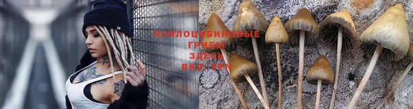 PSILOCYBIN Володарск