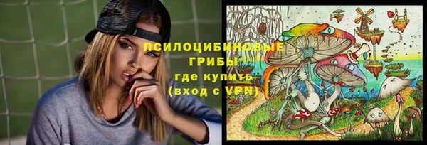 PSILOCYBIN Володарск
